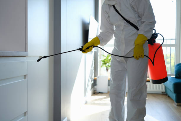 Best Residential Mold Remediation in Sedgwick, KS